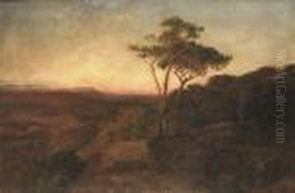 Evening Glow - view 1