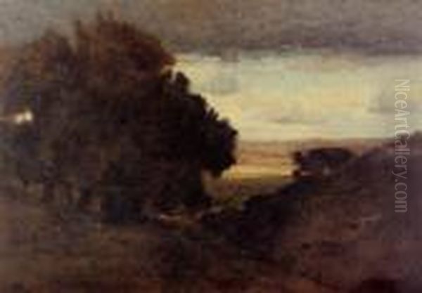 Landscape - view 1