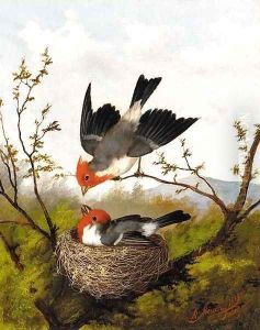 The cardinal's nest by Michaelangelo Meucci