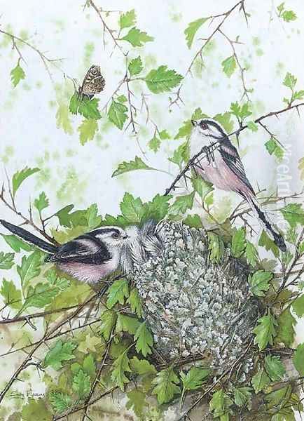 Birds - view 1