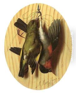 Birds of a feather hang together by Michaelangelo Meucci