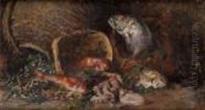 Natura Morta Con Pesci, Polipo E Molluschi Natura Morta Con Pesci, Polipo E Molluschi