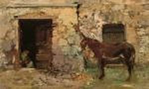 Asinello Nel Cortile by Irolli Vincenzo