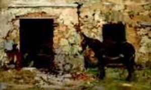 L'asinello L'asinello