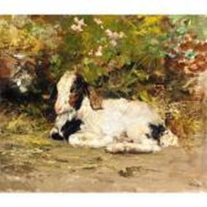 Young Goat by Irolli Vincenzo