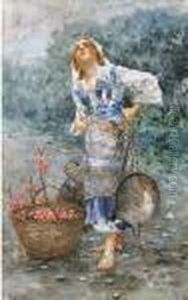 Giovane Venditrice Di Ciliege