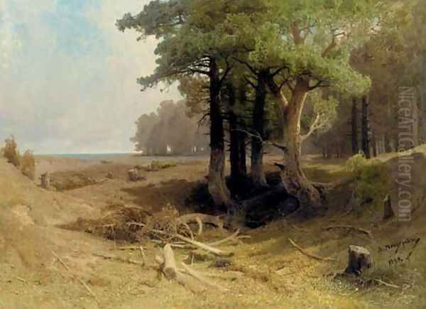 Forest Landscape - view 1