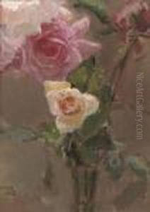 Pink Roses Pink Roses