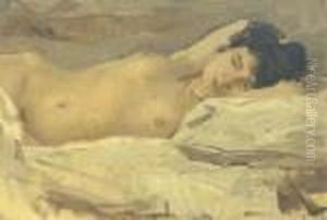 Slapend Naakt: A Reclining Nude