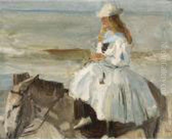 The Donkey Ride - view 1