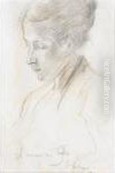 Portrait Of A Lady - view 1