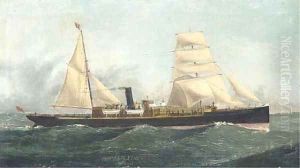 The auxiliary steamer Ardlethen of Aberdeen by John Henry Mohrmann