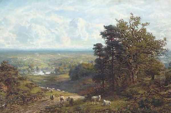 Sheep on a hillside overlooking an extensive landscape - view 1