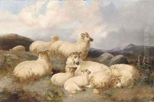 Sheep in a moorland landscape by James Charles Morris