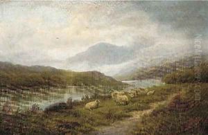 Sheep by the edge of a river in a Highland landscape by John Morris