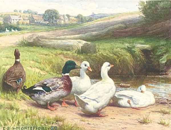 Ducks by a pond - view 1