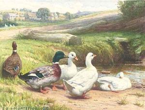Ducks by a pond by Edward Brice Stanley Montefiore