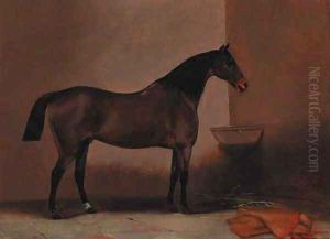 A bay hunter in a stable by G. W. Miller
