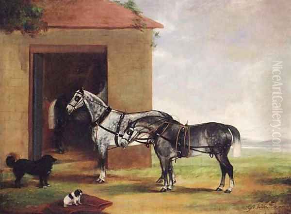 Two dapple grey Carriage Horses with Dogs outside a Stable - view 1
