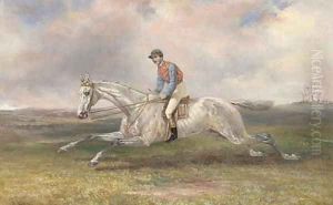 A jockey on a grey in full gallop by Thomas Hillier Mew