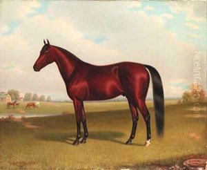 Rubini, A Bay Horse in a Lanscape