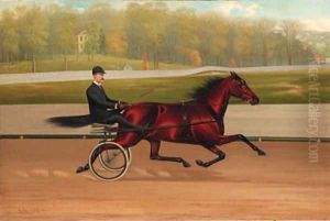 Count Weeks with Trotter in Old Fleetwood Park by John McAuliffe