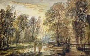 Sunset in the Wood