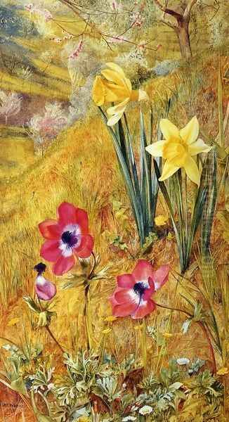 Anemones and Daffodils - view 1
