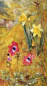 Anemones and Daffodils