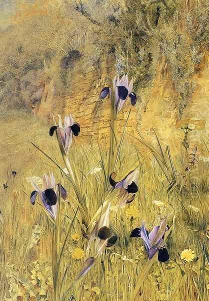 Irises in the Garden - view 1