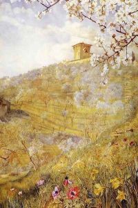 The Villa di Bellosguardo