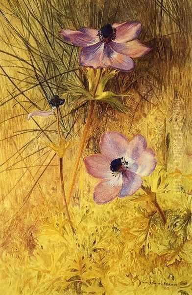 Florentine Wild Anemones - view 1