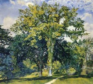 The Elm