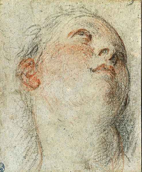 The Head of a Woman - view 1