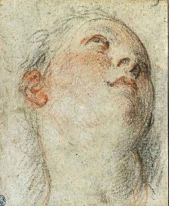 The Head of a Woman by Palma Vecchio (Jacopo Negretti)