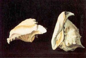 Two Shells by Filippo Napoletano