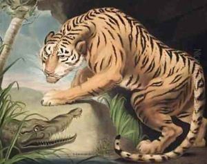 Tiger and Crocodile by James Northcote