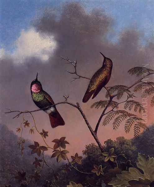 Brazilian Ruby Hummingbirds - view 1