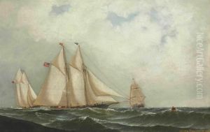 The Regatta
