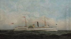 Steamship St. Johns by Antonio Nicolo Gasparo Jacobsen