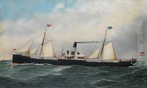 The S.s.