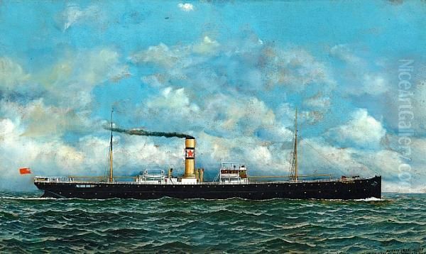 The British General Cargo Steamer Satsuma Atsea - view 1