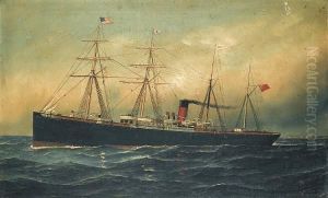 The Wilson Line Steamer