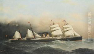 The Westernland Of The Red Star Line
