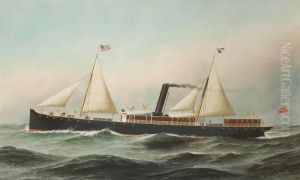 The Steam/sail Ship by Antonio Nicolo Gasparo Jacobsen
