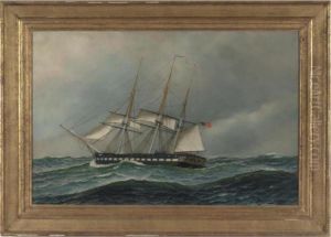 The Constitution With Open Seas by Antonio Nicolo Gasparo Jacobsen