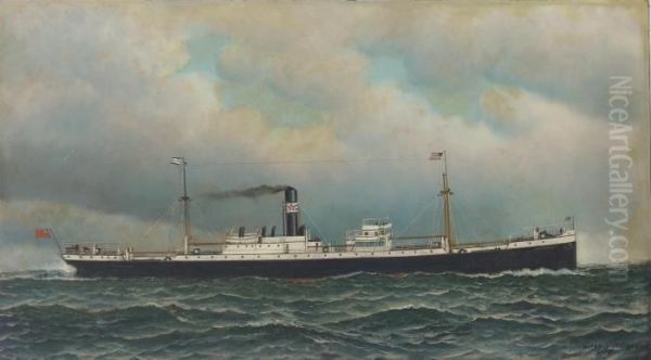 S.s. Suruga - view 1
