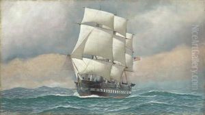 The
U.s.f Constitution by Antonio Nicolo Gasparo Jacobsen