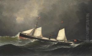 The Steam Sail Ship
Arragon by Antonio Nicolo Gasparo Jacobsen