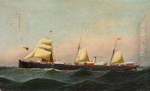 Ship Portrait Of "hekla"